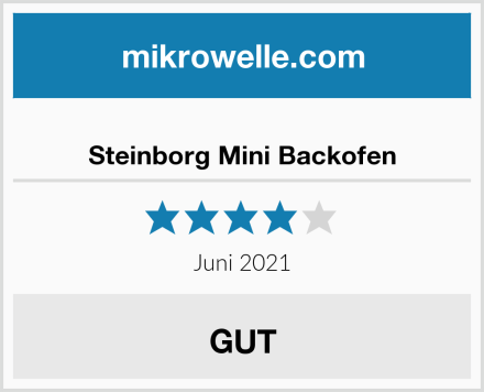  Steinborg Mini Backofen Test